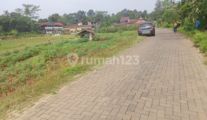 Tanah Luas Strategis Di Jalan Kandri Gunungpati 2