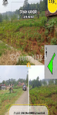 Tanah Luas Strategis Di Jalan Kandri Gunungpati Tanah Luas Strategis Di Jalan Kandri Gunungpati