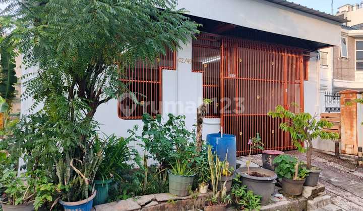 Sewa Rumah Rapi Siap Tinggal di Grisenda Pik Jak Ut Sewa Rumah Rapi Siap Tinggal di Grisenda Pik Jak Ut