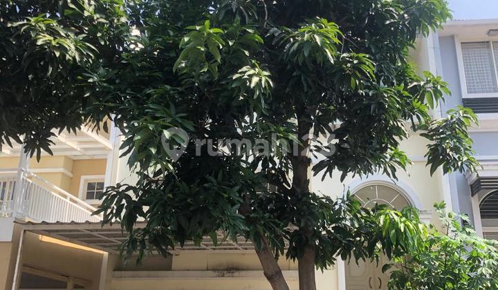 For Rent House Pik Bgm 3 Floors Size 8X18 M² In North Jakarta