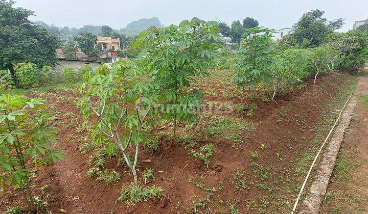 Kavling Tanah Cocok Untuk Perumahan,pabrik Atau Gudang 2