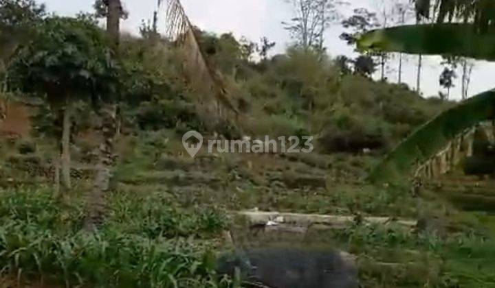 Kavling Tanah Jalan Raya Tangkuban Perahu Lembang 1