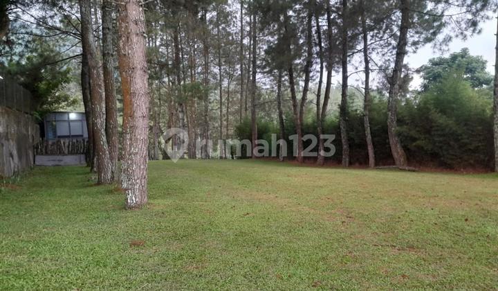 Kavling Tanah Udara Sejuk Cocok untuk Vila di Lembang