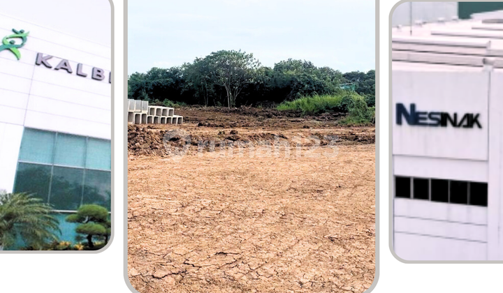 For Quick Sale: Factory and Warehouse Land in Delta Silicon 1 For Quick Sale: Factory and Warehouse Land in Delta Silicon 1