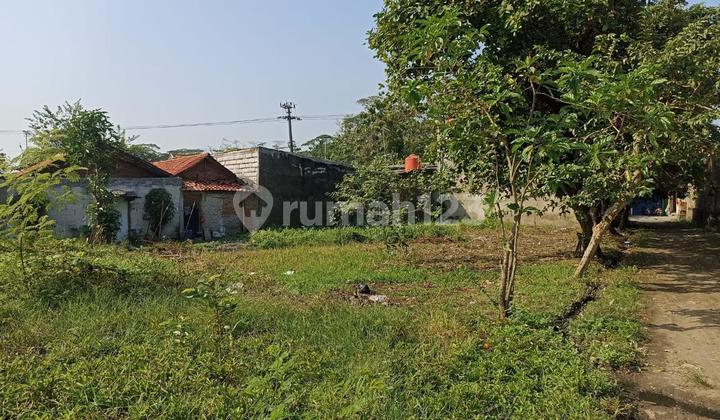 Jual Murah Tanah dan Rumah di Cikarang