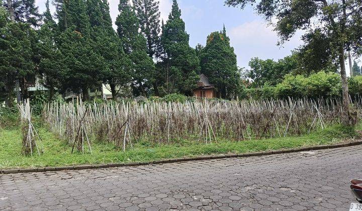 Tanah Kavling Murah Mainrod Villa Istana Bunga Lembang  2