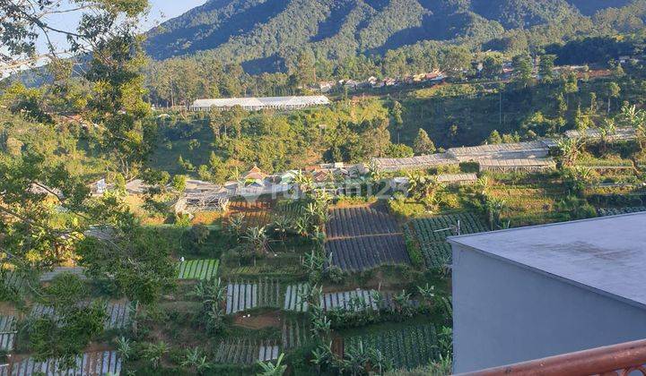 Villa cantik view gunung villa istana bunga Lembang  1