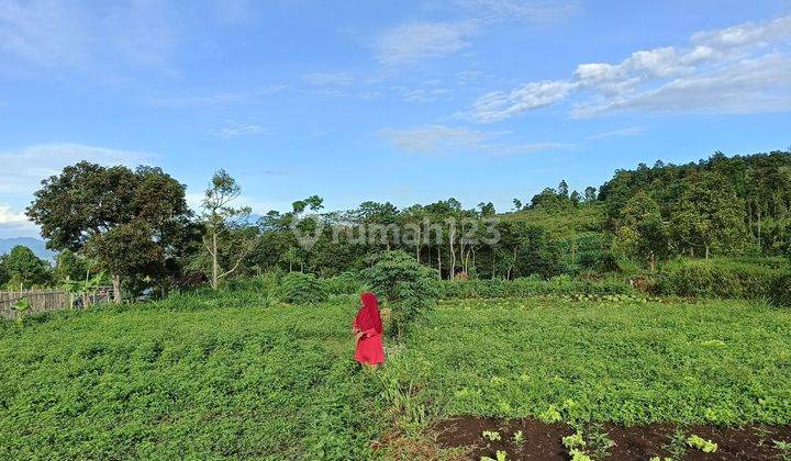 Tanah Pakuhaji Cocok Untuk Villa Di Bandung Barat 2