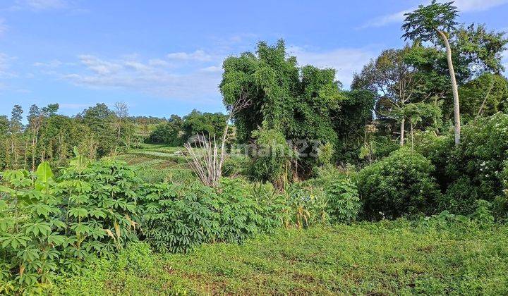 Tanah murah udara sejuk,view kota di Pakuhaji SHM 2