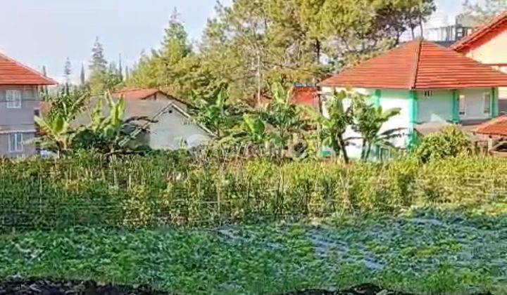 Tanah kavling datar murah villa istana bunga Lembang Bandung  1