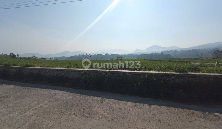 Dijual murah tanah kavling di Pasirjambu Ciwidey 1200mdpl 2