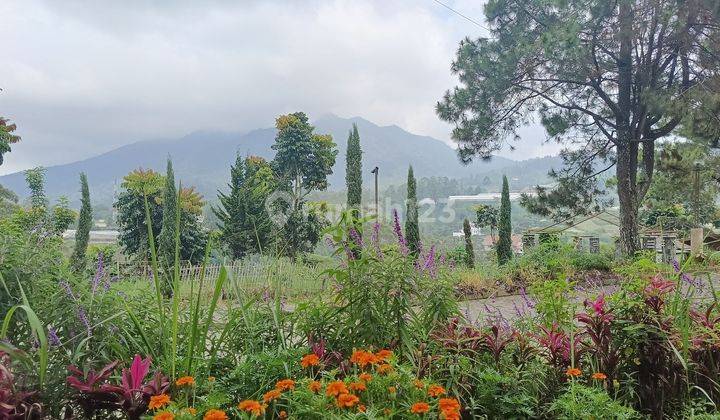 Vila Istana Bunga View Gunung Burangrang Parongpong Lembang  2