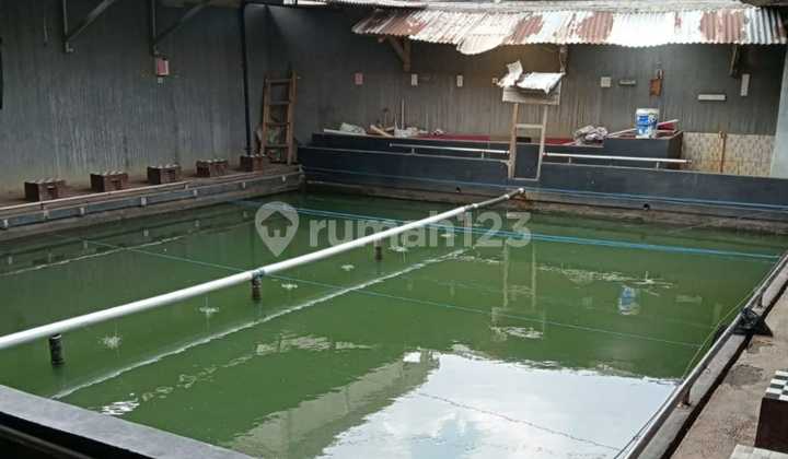 Rumah Usaha Kolam Ikan Cipageran Cimahi Di Bandung
