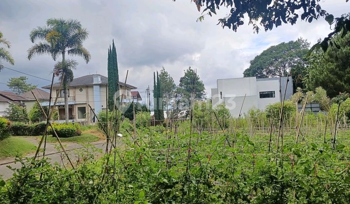 Kavling Mainrod Villa Istana Bunga Lembang Bandung