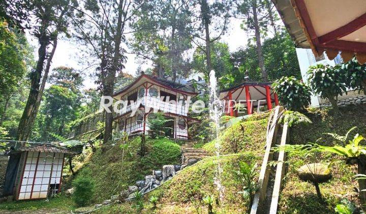 Dijual Villa Bagus Kapasitas Besar Di Megamendung Puncak Jawa Barat 2