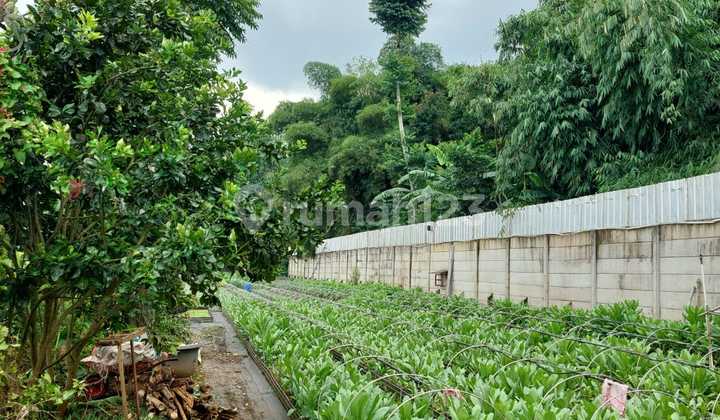 Jual Kebun + Villa Kayu Cisarua Bandung
