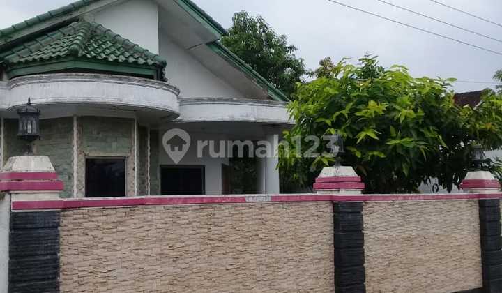 Rumah dan Sarang Burung Walet Brebes, Jawa Tengah  2