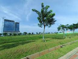 Dijual Kavling Komersial Thamrin Pik2 450m2 Nego Strategis 1