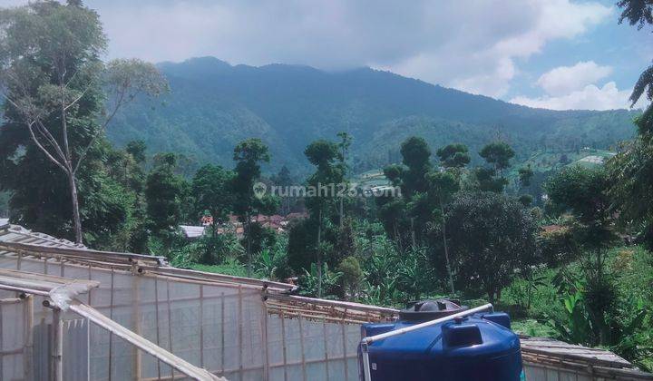 Dijual Super Murah Villa Bonus tanah lt.728mtt dan Kebun Paprika.View Indah,sejuk,Cisarua Lembang. 1