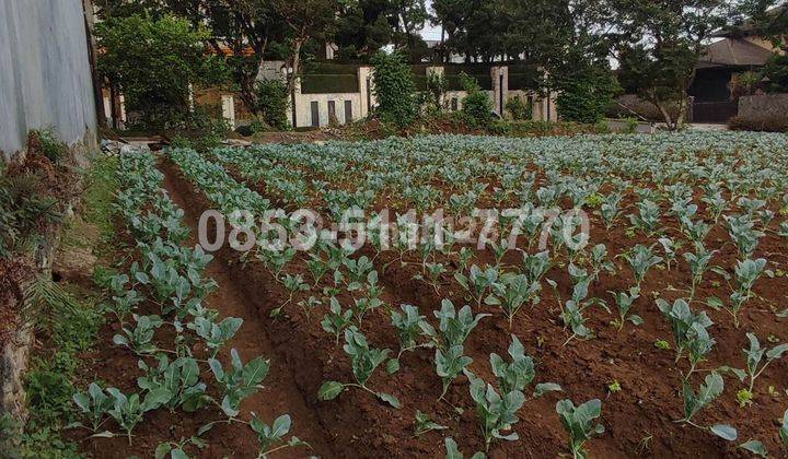 Satu Satunya Tanah Hook di Setiabudi Regency Bandung Siapa Cepat Dia Dapat Bosku Harga Boleh Nego Tipis Dokumen SHM 2