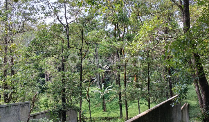 Kavling sentul city sertipikat ngebelakangin Green area lokasi stategis dekat aeon Kavling sentul city sertipikat ngebelakangin Green area lokasi stategis dekat aeon