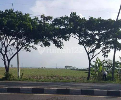 Kavling Luas di Jl Raya Cirebon Tegal, 0023 Jel 2