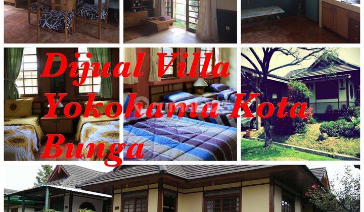 Dijual villa yokohama puncak, Kota bunga Cipanas  2