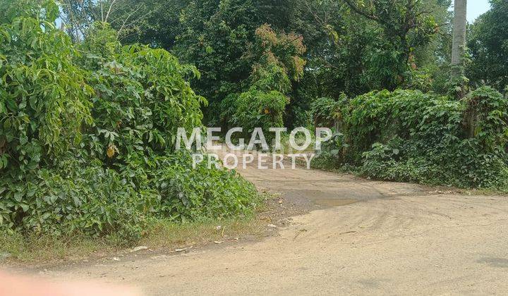 Kavling Luas di Dangdang Cisauk Tangerang Lokasi Strategis 2