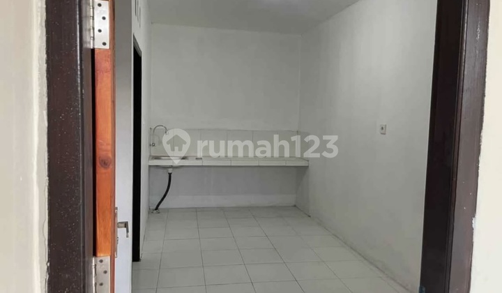 For Rent House Located on Jln Pulau Saelus, Sesetan.