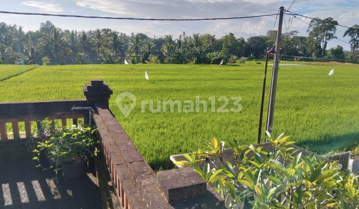 For Rent 3 Bedrooms House In Mengwi Area 2