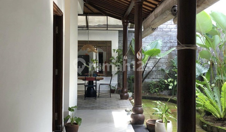 Homey House Ready To Rent Located In Banjar Semer, Kuwum (Kerobokan Area) 2