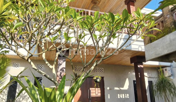 For Rent 3 Bedrooms House In Mengwi Area