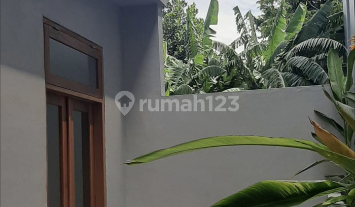 Rumah Baru 4 Kamar Tidur Kerobokan Area 1