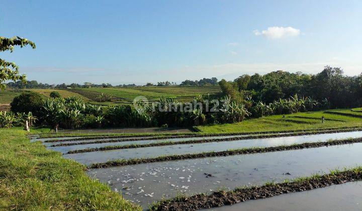 Dijual Tanah Murah Pantai Yeh Gangga Zona Pink Wisata 2