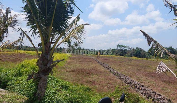 Dijual Tanah Kavling Kedungu View Laut 1