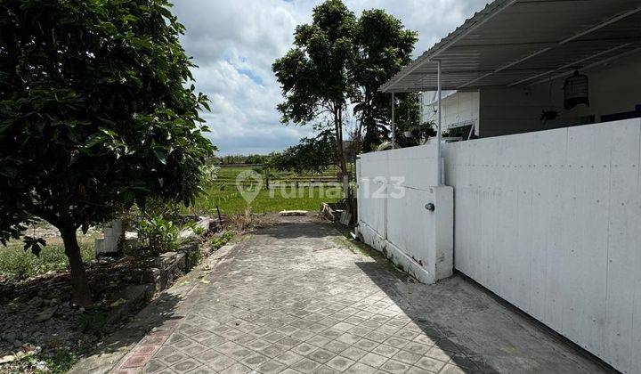 For Rent Semi Villa House In Dalung Area 2