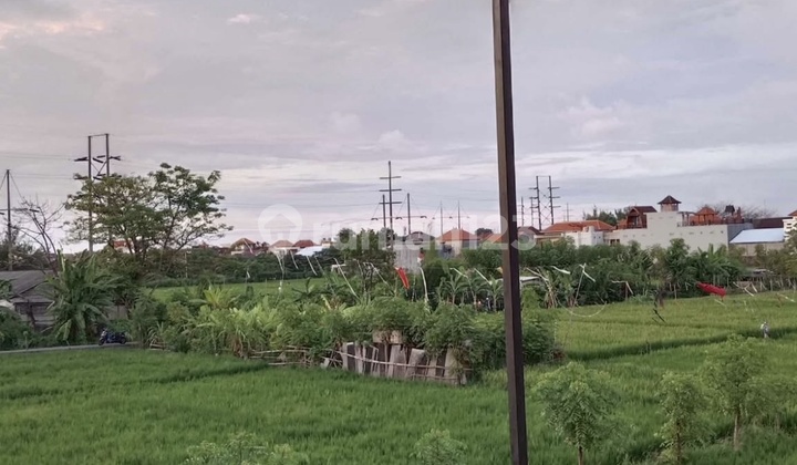 Stunning 2-Storey House In South Denpasar 2