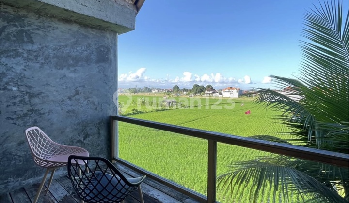 2 Bedrooms Furnished House In Penatih Denpasar Timur 2