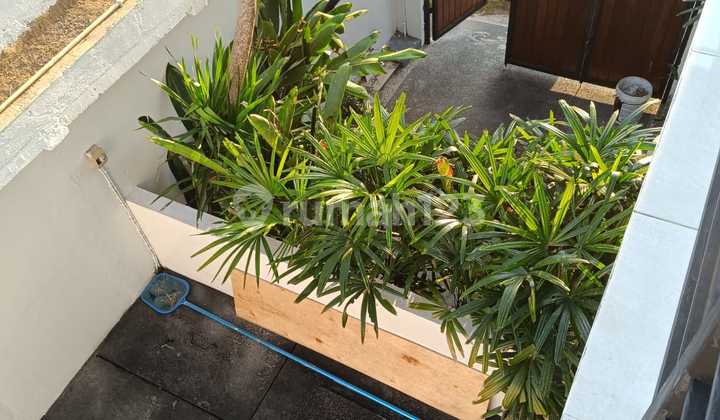 VILLA FOR RENT  located at Banjar Anyar Kerobokan