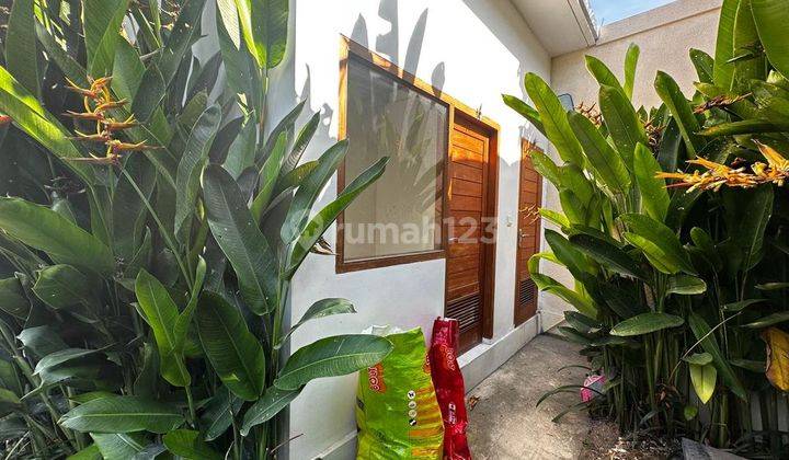 Brand New 2 Bedrooms Villa In Kerobokan Area 2