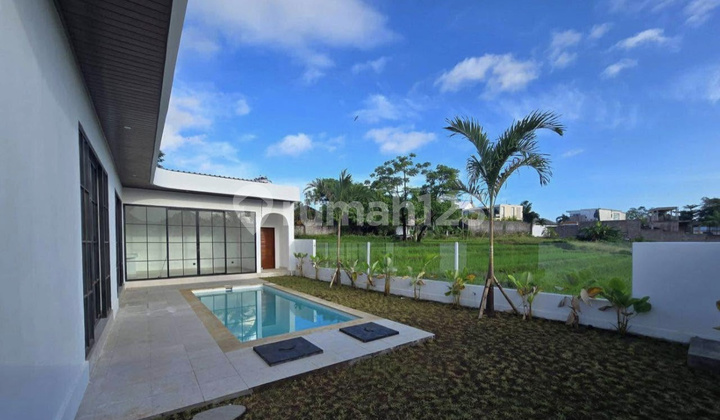For Rent: Brand New 2-Bedroom Modern Villa With Rice Field Views In Padonan, Canggu