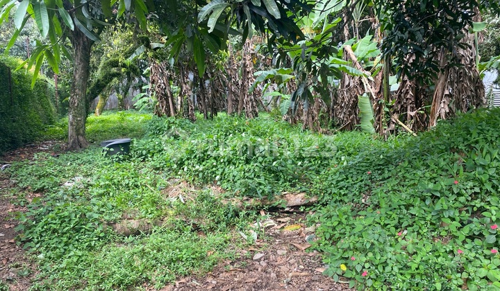 Tanah Karang Tineung Bebas Banjir Cocok untuk Cluster dan Rumah Tanah Karang Tineung Bebas Banjir Cocok untuk Cluster dan Rumah