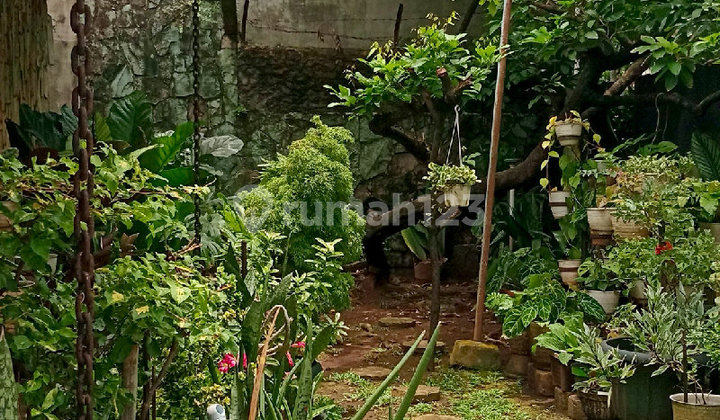 Old House Land Count in Kayumas, Pulogadung, East Jakarta S9539