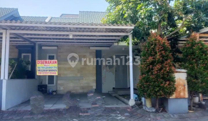 Sewa Paling Murah, Hanya 6 Menit Ke Its, Jarang Ada Disewakan Rumah 1 1/2 Lantai Sukolilo Dian Regency 2, Kamar Tidur Lega, Siap Huni 