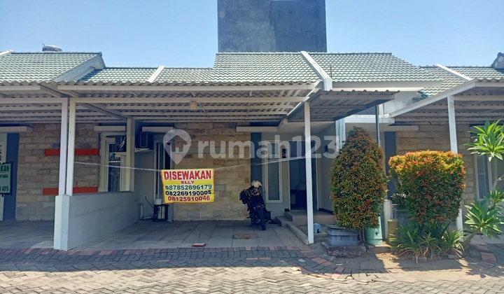 Disewakan Rumah Sukolilo Dian Regency 2, Siap Huni, Hanya 6 Menit Ke Kampus Its Disewakan Rumah Sukolilo Dian Regency 2, Siap Huni, Hanya 6 Menit Ke Kampus Its