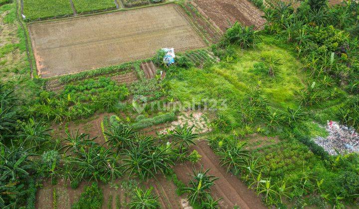 Dijual Tanah Murah Di Tapos, Depok – Investasi Terbaik! 2