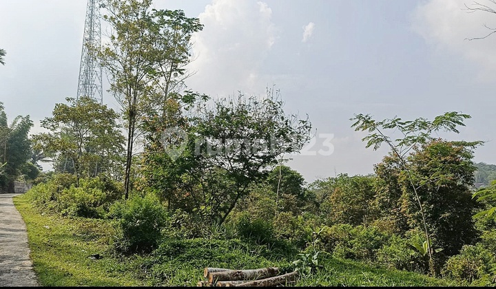 Affordable Plot of Land for Sale in Panawangan, Ciamis, Strategically Located Near Main Road, Market, and Terminal Affordable Plot of Land for Sale in Panawangan, Ciamis, Strategically Located Near Main Road, Market, and Terminal