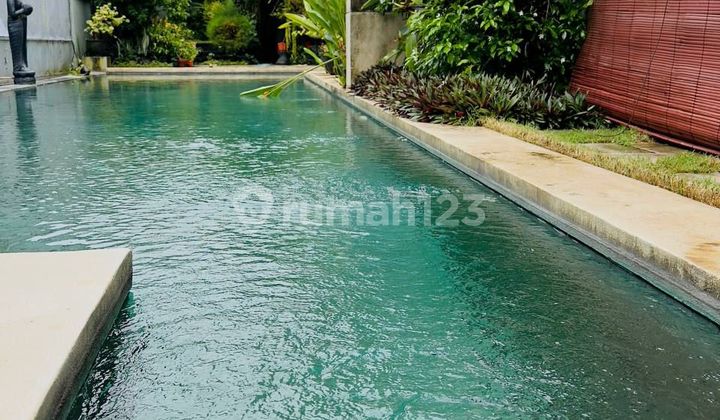 Big Villa For Sale In Padonan Canggu
