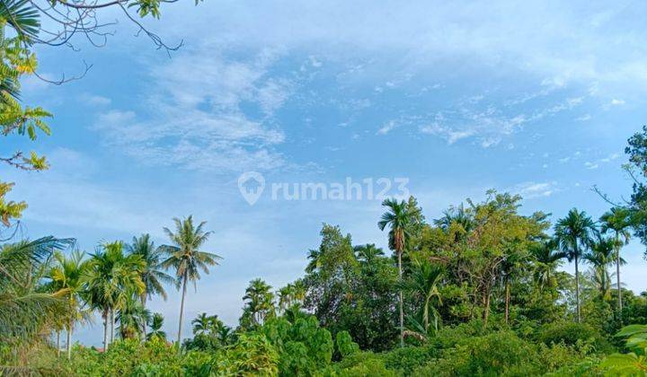 Tanah Kavling Cocok Peruntukan Rumah Tinggal Dan Kost di Kuranji 2