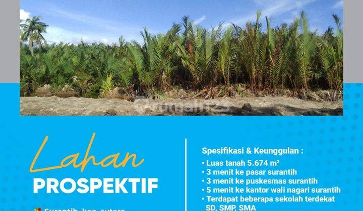 Tanah Kavling Kawasan Ramai Penduduk di Pesisir Selatan 1